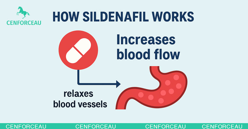 How Sildenafil Works in Your System